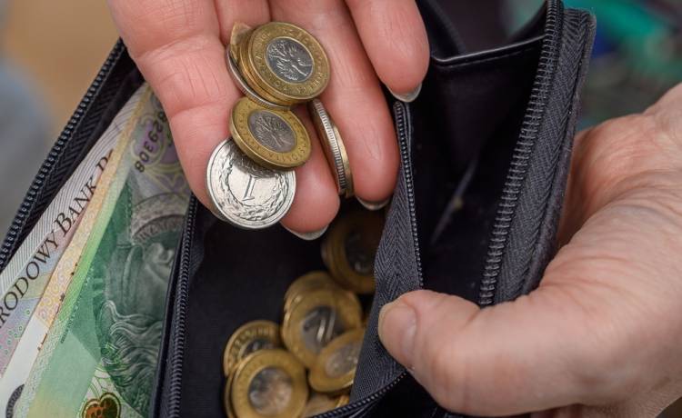 Nowa moneta w naszych portfelach. Jak wygląda?, fot. Shutterstock