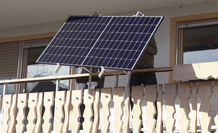 Bydło na balkonie. Sąsiedzi nie wytrzymali i zażądali usunięcia krów [WIDEO]