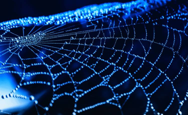 zdjęcie ilustracyjne, fot. Shutterstock/MurrLove