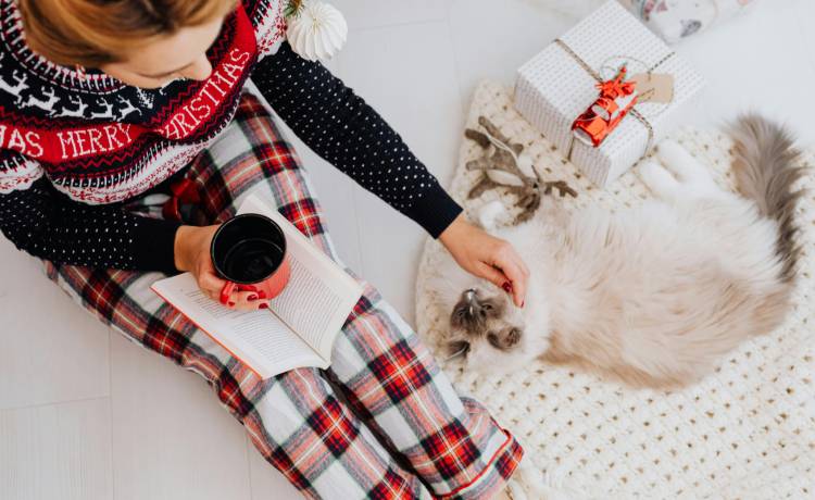 fot. materiały prasowe