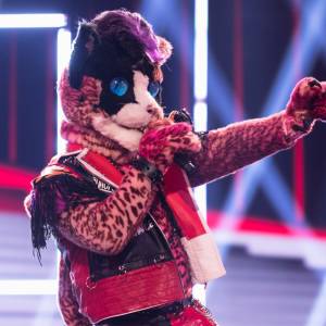 "Mask Singer". Kim jest Kot? Internauci typują dwie osoby!