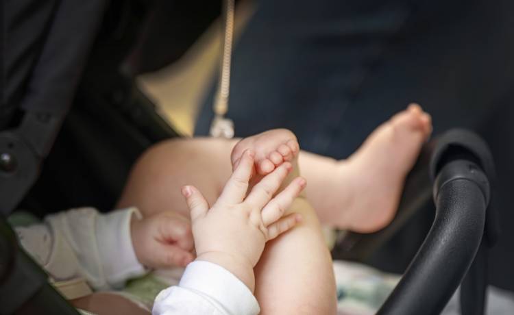 Tanita_St/Shutterstock