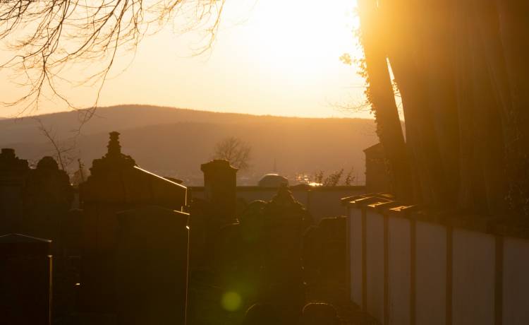 Domowe specyfiki lepsze niż sklepowa chemia? Skuteczne sposoby na czyszczenie nagrobków