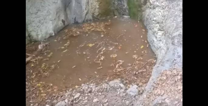 Dziki spadające z... wodospadu. "Kanioning w wykonaniu całej rodziny"! [WIDEO]