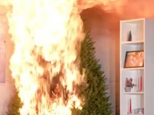 Ile pali się choinka? Wystarczy nieco ponad minuta, by ze świątecznego drzewka nic nie zostało! [WIDEO]