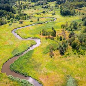 Już za kilka dni wielkie sprzątanie Warty. Dowiedz się, jak dołączyć 