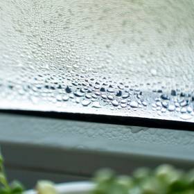 Co położyć na parapecie, żeby nie było wilgoci na oknach? To najlepszy sposób