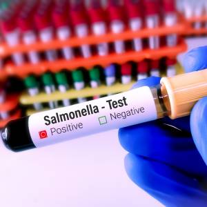 Salmonella -  w jaki sposób dochodzi do zakażenia i jakie daje objawy?