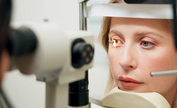 fot. shutterstock.com