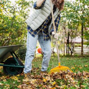 Zrób to w listopadzie, a twój ogród zachwyci każdego na wiosnę!
