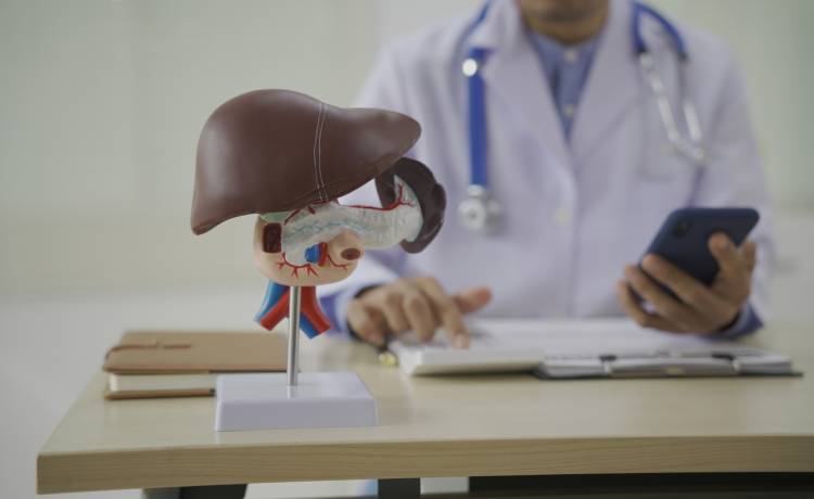 fot. shutterstock.com