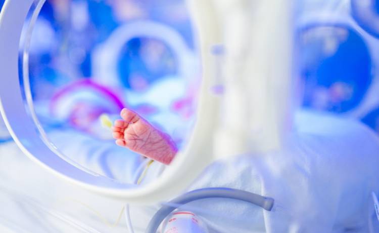 Przełom w medycynie czy ryzykowny eksperyment na granicy etyki?, fot. Shutterstock