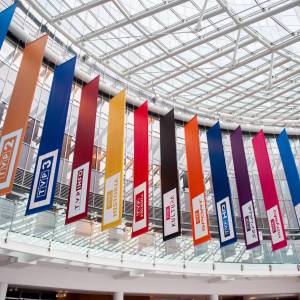 Nie uwierzysz, co TVP udostępniło za darmo! Twoje dziecko musi to zobaczyć