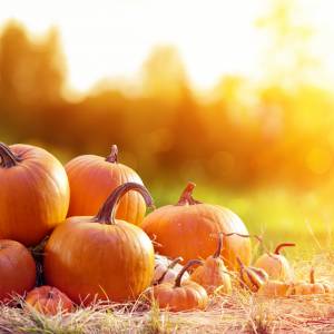 Najzdrowsze warzywa, które powinno się jeść jesienią