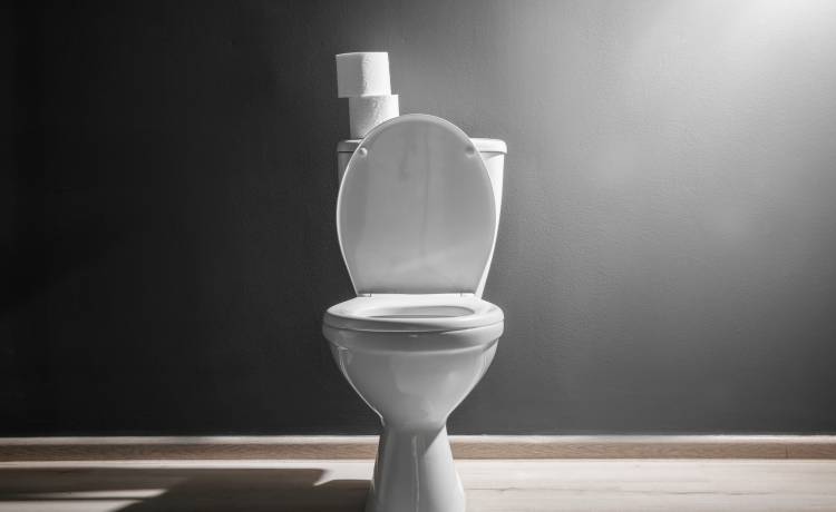 Po wejściu do łazienki był przerażony. Wściekła jaszczurka siedziała w toalecie [FOTO]