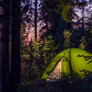 Spał pod namiotem. Rano zobaczył, że siedzi na nim to. Przerażające! [WIDEO]