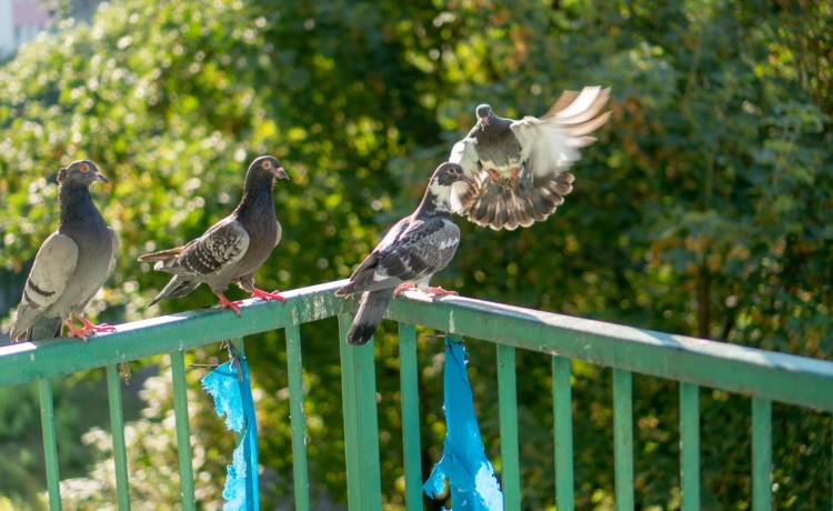 zdjęcie ilustracyjne, fot. Shutterstock/Lukasz Machowczyk