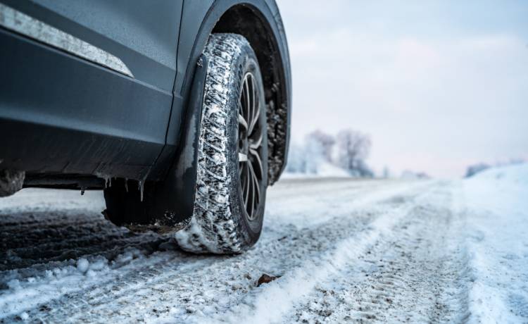 Ivanova Ksenia/Shutterstock