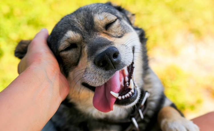 fot. shutterstock.com