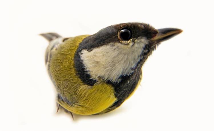 fot. shutterstock.com