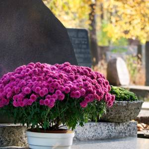 Czy wizyta na cmentarzu jest zakazana? Czy można iść na cmentarz? Czy cmentarze są zamknięte?