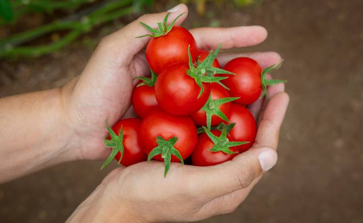 fot. shutterstock.com 