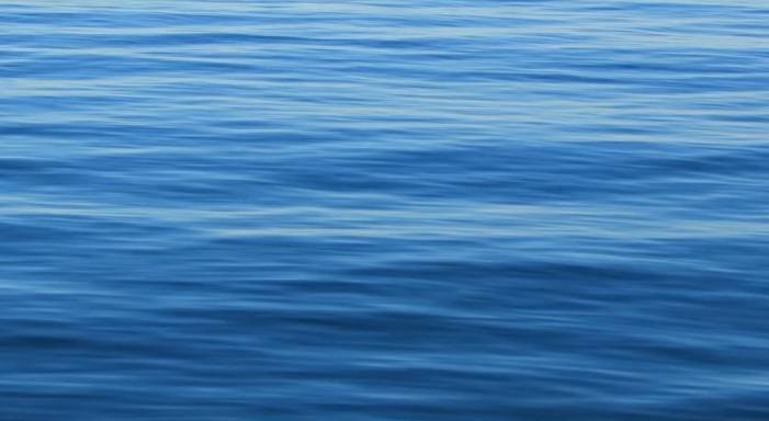 "Nie ma fal" w zaskakującej wersji. Licealiści nagrali cover i teledysk do przeboju Dawida Podsiadły 