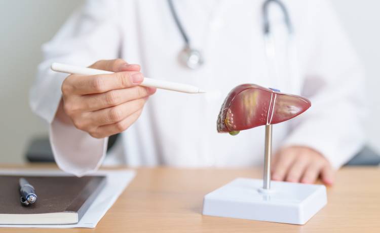 fot. shutterstock.com