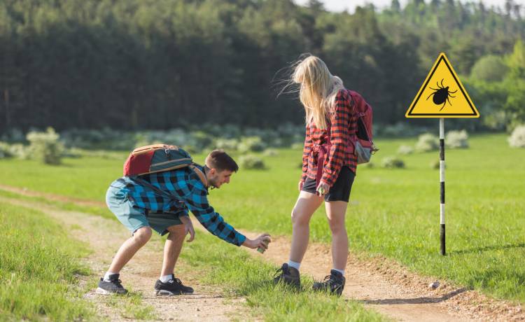 fot. shutterstock.com