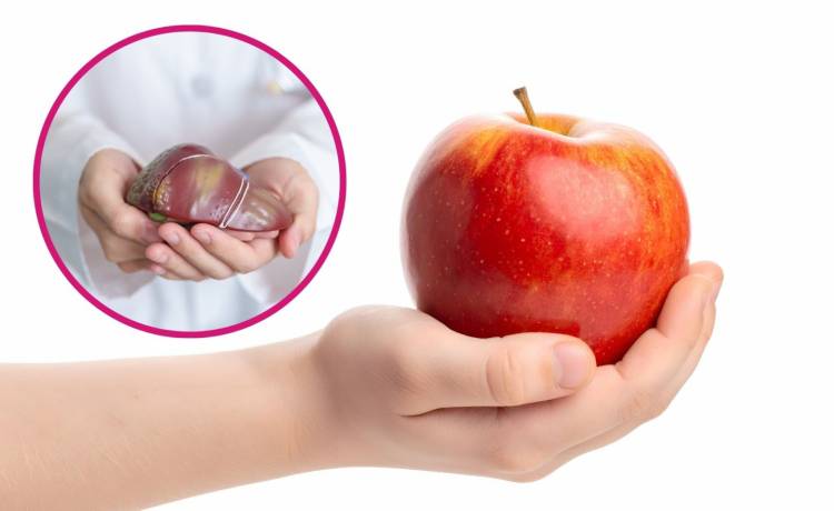 fot. shutterstock.com 