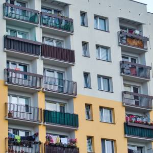 Powrót "laguna". Kobieta wezwała służby, twierdząc, że widzi węża