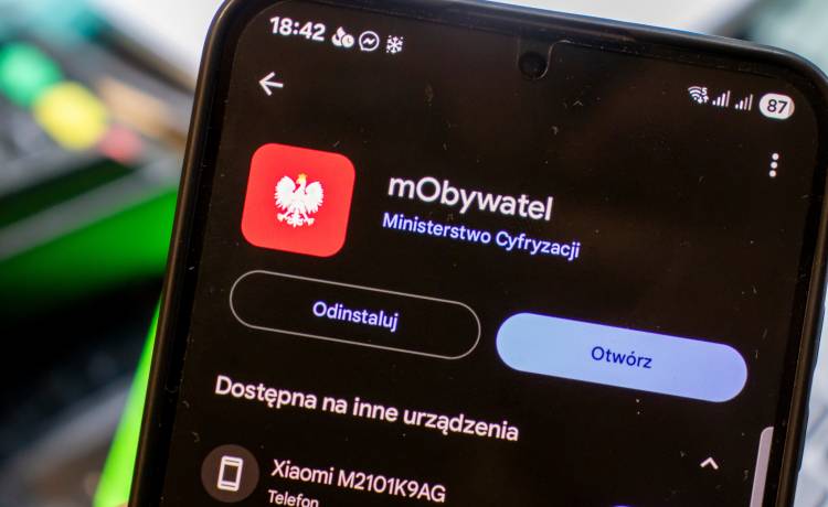 Koniec z kolejkami w urzędach! mObywatel wprowadza rewolucję dla przedsiębiorców, fot. Shutterstock