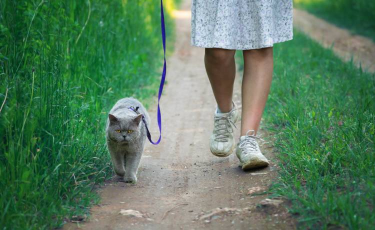 fot. shutterstock.com