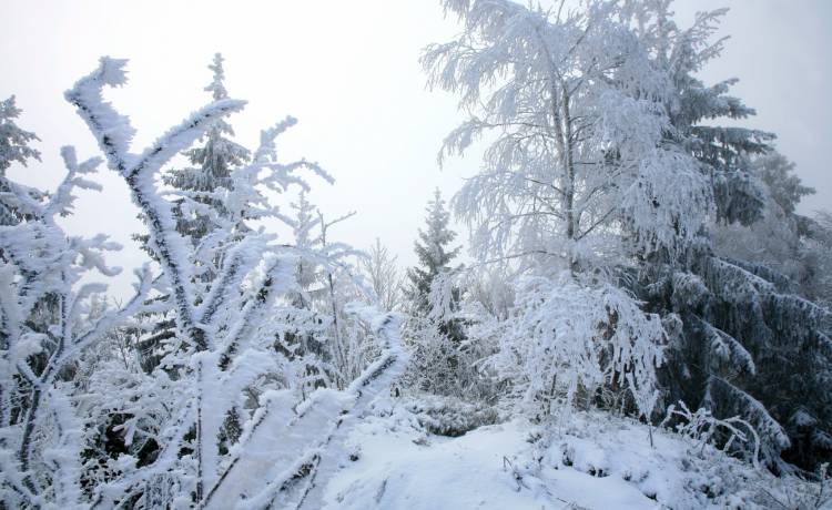 Czy możemy zapomnieć o śniegu w święta? Fot. Shutterstock/Katarzyna Mazurowska