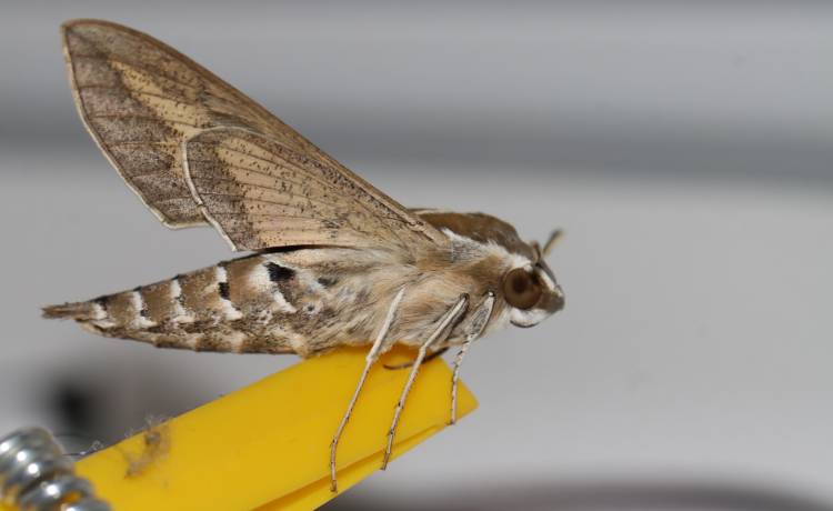 fot. shutterstock.com