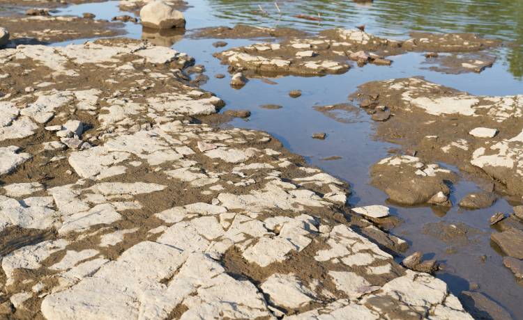 Niski poziom wody odsłonił wojenne wraki. Skutki suszy widoczne gołym okiem! [FOTO]