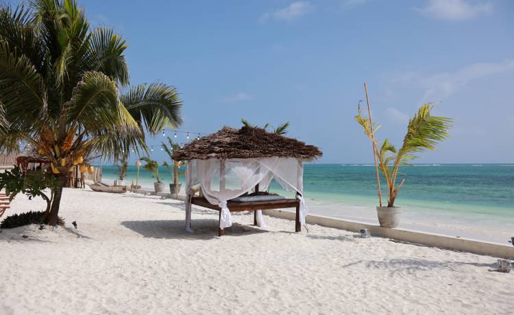 Pan Lektor pokazał twarz. Tak wygląda tajemniczy głos "Hotelu Paradise" [ZDJĘCIA]