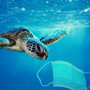 Tony medycznych śmieci zanieczyszczają rafy koralowe. Zużyte maseczki na trafiają na dno oceanu