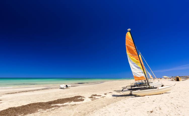 fot. Shutterstock