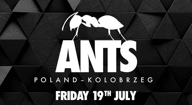 Sunrise Festival 2019: Poznaliśmy gwiazdy sceny ANTS! 