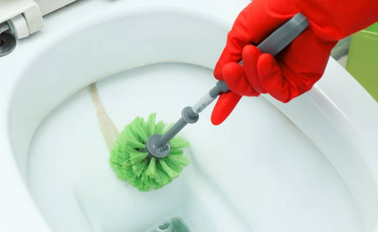 fot. shutterstock.com