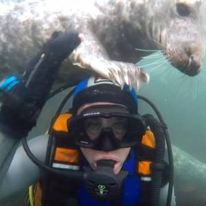 Podwodne spotkanie pełne czułości. Foka zaczęła przytulać się do nurka!