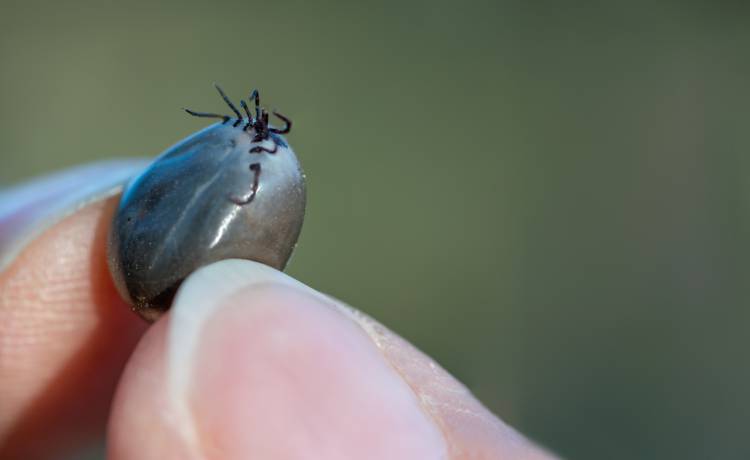 fot. Shutterstock, zdj. ilustracyjne