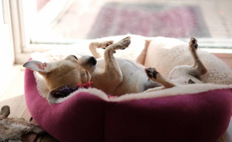 fot. shutterstock.com 