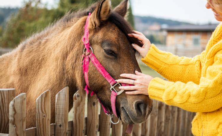 fot. shutterstock.com 