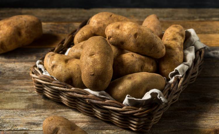 fot. shutterstock.com