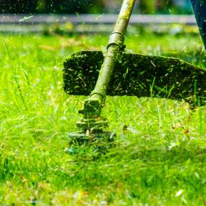 Ksiądz nie ma wątpliwości: koszenie trawy w niedzielę to grzech                             