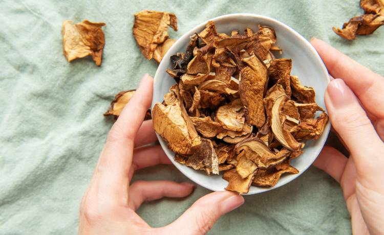 fot. shutterstock.com