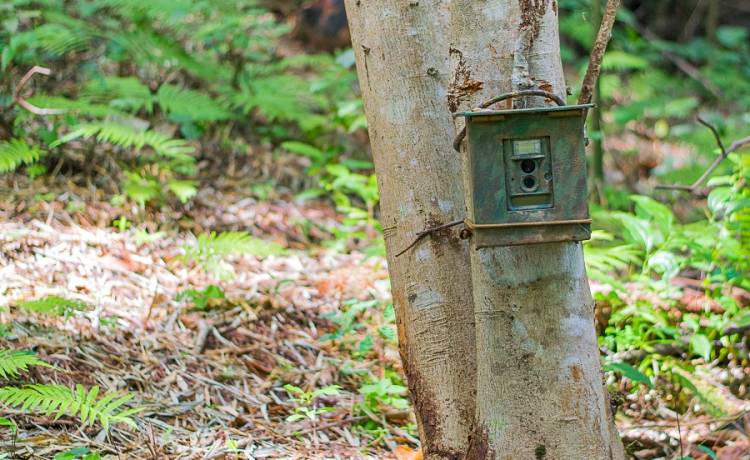 Ujęcie jedno na milion? Dzika poniosło w czasie posiłku! "Jak ucztować to na całego" [FOTO]