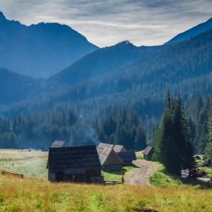 Spotkanie z niedźwiedziami w Dolinie Chochołowskiej! Nagranie turystki opublikowano w sieci [WIDEO] 